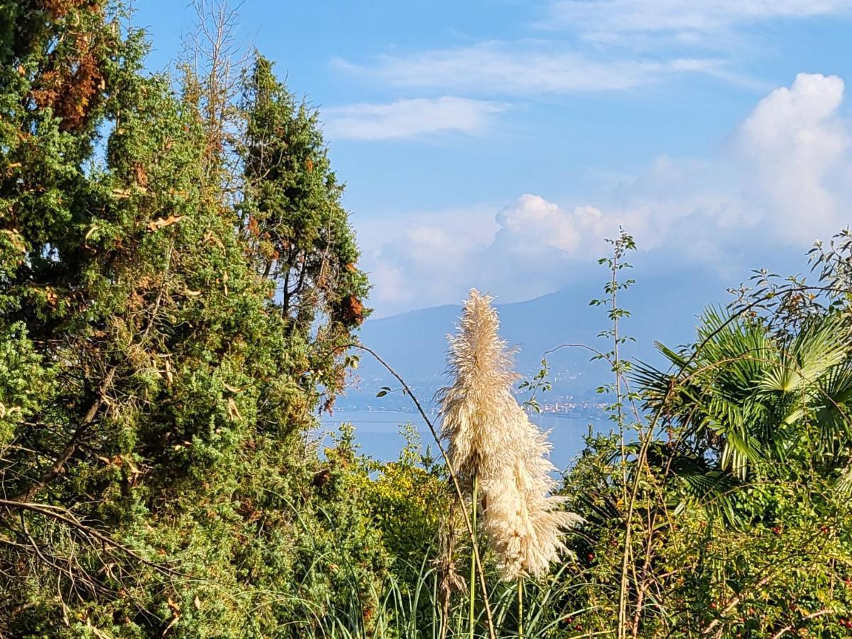 Bella Vista Lago Maggiore Гиффа Экстерьер фото